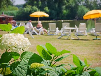 Preishammer für Schnäppchenjäger im Seehotel