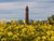 3 Tage Durchatmen & Aufleben auf der Sonneninsel Fehmarn