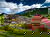 Tapetenwechsel Schwarzwald-Einfach was anderes sehen