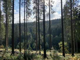 5 Tage Aktiv- und Familienauszeit in der Winterberger Bergwelt mit Halbpension