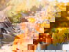 Herbstmomente - HP