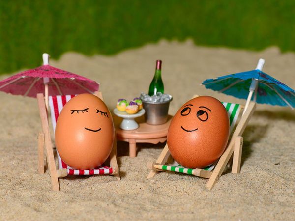 4 Tage Ostsee-Osterkurztrip in Buschvitz, Mecklenburg-Vorpommern inkl. Halbpension Plus