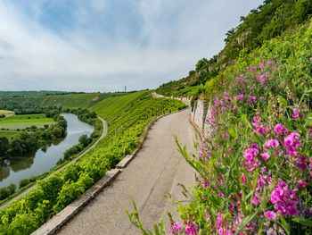 Auszeit in der Natur um Backnang - 6 Tage