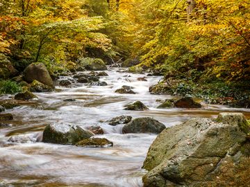 Wellness im Harz