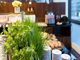 2 Tage im Best Western Plus Plaza