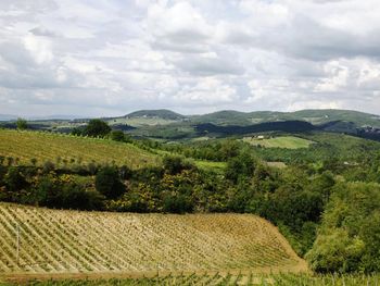 Malerische Toskana - Frühstück & Weinprobe - 5 Tage