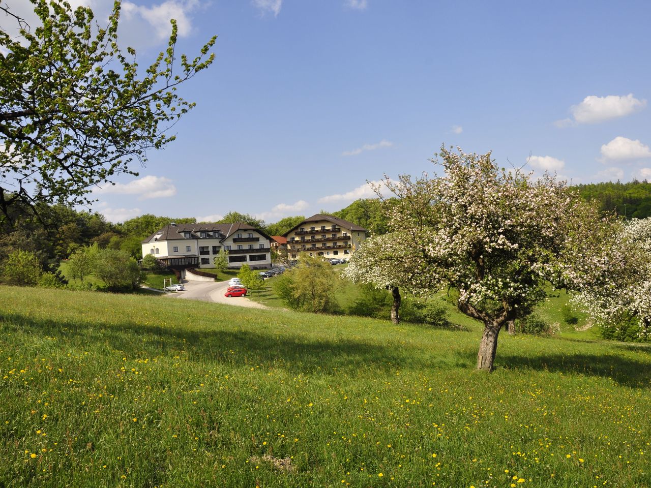 5 Tage Wellness-Wohlfühl-Auszeit vor den Toren Wiens