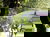Center-Parcs-Angebot 