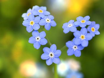 Feiertags-Arrangements-endlich langes Wochenende!