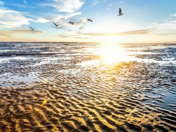 5 Tage an der Nordsee - MeerZeit inkl. Insel Föhr