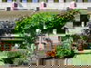 4 Tage Mosel pur – Natur & Genuss erleben