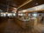 4 Tage Kurzurlaub mit HP+ im Rio Stava Family Resort & Spa