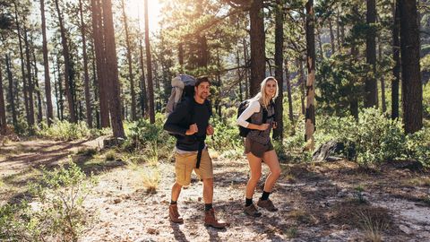 Gemeinsame Wanderung im Harz