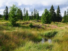 3 Tage kurz-mal ins Erzgebirge zum Wandererlebnis