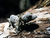 Tierpark und Tropen Aquarium Hagenbeck in Hamburg mit Hotel