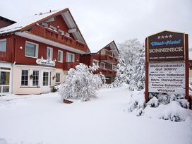 Weihnachts-Spezial 5 Tage im 4 Sterne Wellnesshotel im Harz