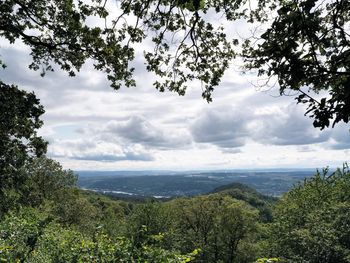 Siebengebirge & Schloss Drachenburg erkunden - 3 Tage