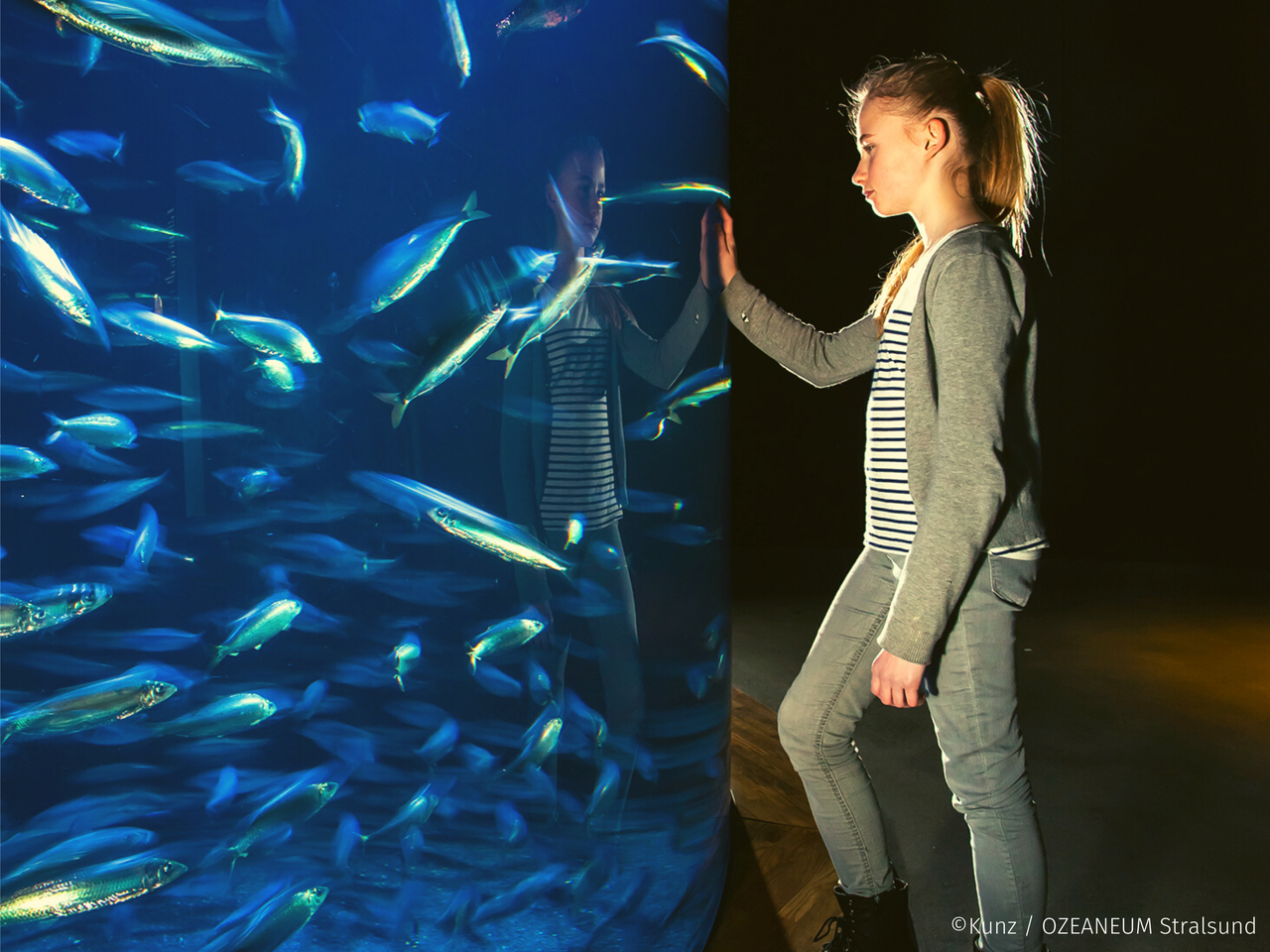 Ozeaneum & Mee(h)r