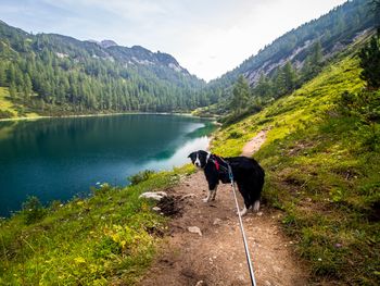 Auszeit am See - 5 Tage mit HP