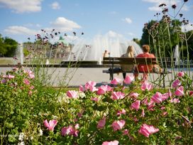 4 Pfotenzeit – Urlaub, der auch Ihrem Hund guttut