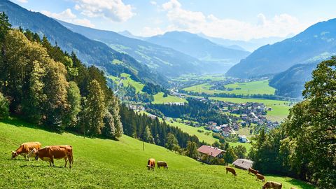 Zillertal