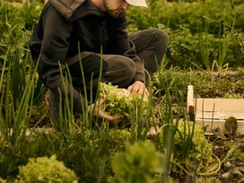 Ihr Babymoon in den Dolomiten