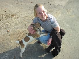 5 Tage Naturerlebnis Teutoburger Wald mit HP