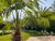 Wellness-Schnuppertage in der Dübener Heide inkl. Dinnerbuffet & Massage