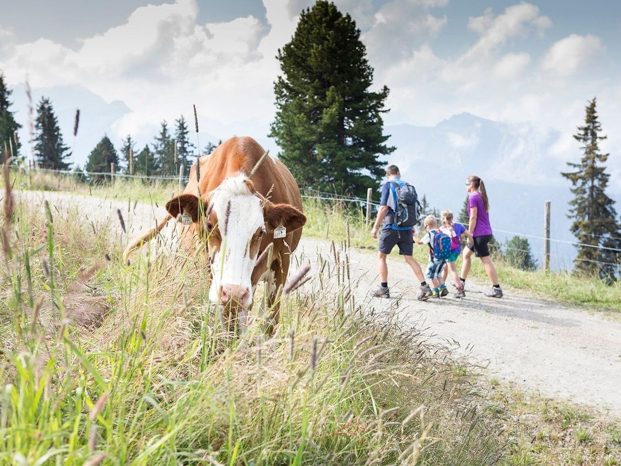 Schneegestöber in Mayrhofen - 7 Nächte