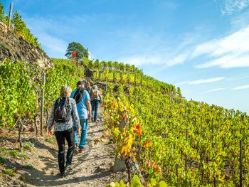3 Tage Moselurlaub – Mit Sack & Pack ins Glück