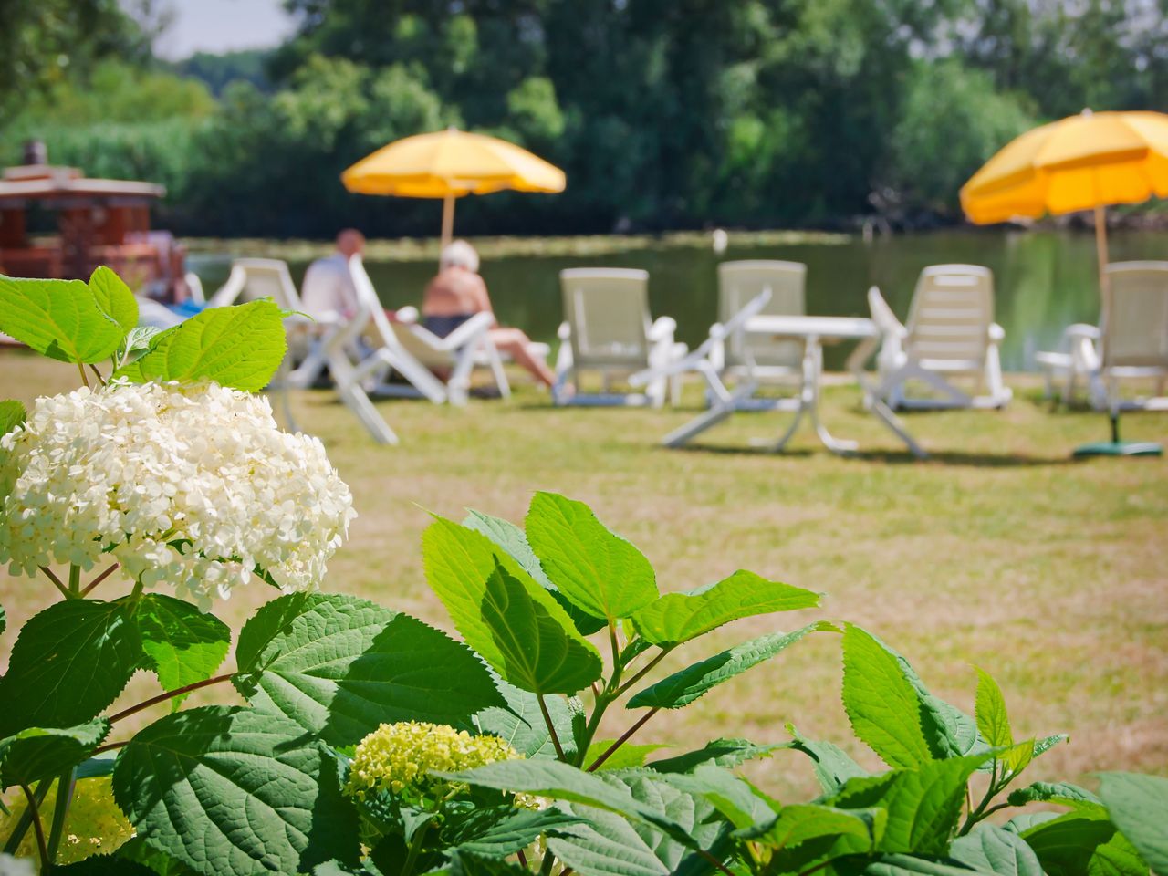 6 Tage große Auszeit am See inkl. Halbpension plus