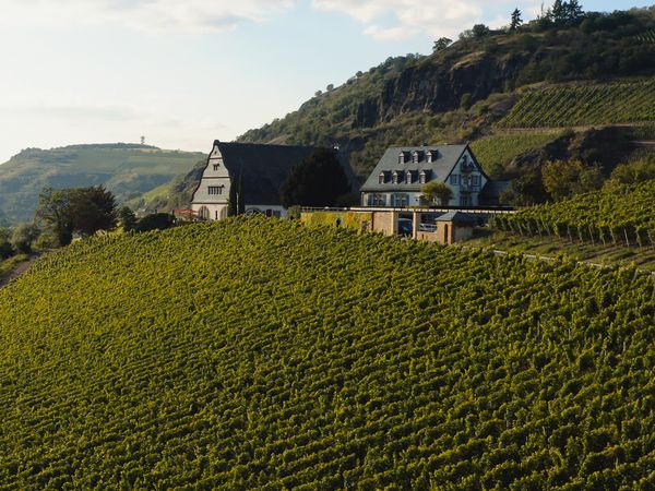 3 Tage Sommerauszeit an der Nahe in Niederhausen (Nahe), Rheinland-Pfalz inkl. Halbpension