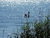 3 Tage Auszeit am Bodensee im Hotel Mein Inselglück