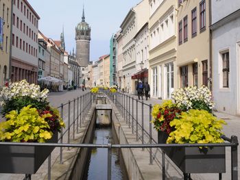 Herbstzeit in der Lutherstadt Wittenberg