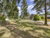 4 Tage im Herzen der Veluwe