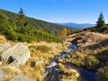 Auf ins Riesengebirge - 1 Woche Schreiberhau mit HP