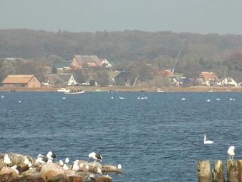 4 Tage im Pension Deichgraf mit Frühstück