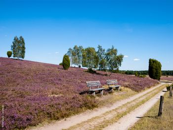 Kulinarische Heide-Highlights