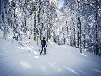 5 Tage am Titisee im Schwarzwald