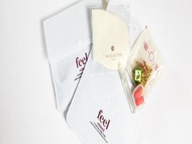 2 Tage die Hafenmetropole Antwerpen erkunden