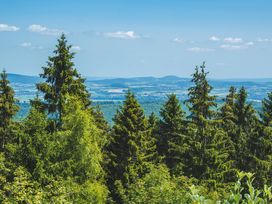 2 Tage Wandern und Genießen im Weserbergland inkl. 3-Gänge-Menü