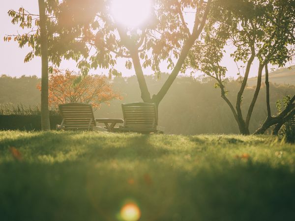 3 Tage Sommerauszeit an der Nahe in Niederhausen (Nahe), Rheinland-Pfalz inkl. Halbpension