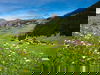 Ruhe 5 Tage mit HP im Alpenhotel Mittagspitze