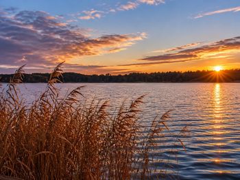 3 Tage Herbst- & Winterzauber an der Müritz mit Wellness