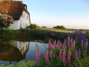 4 Tage Halbpension im Naturparadies auf Rügen