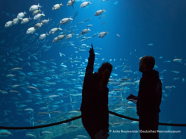 OZEANEUM Stralsund mit Ticket und Hotel