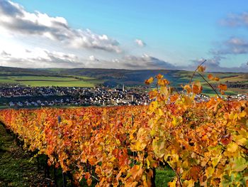 4 Tage Kurzurlaub im Taubertal - Vitaltage