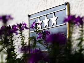 Kurz-mal zur Aktivauszeit: 4 Tage die Moselregion entdecken
