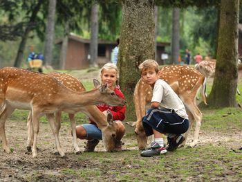 Wildpark Lüneburger Heide