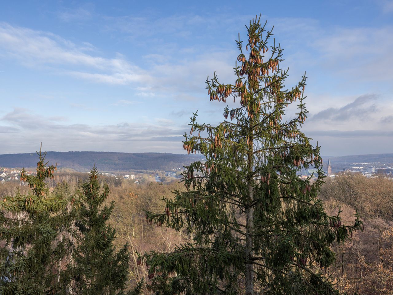 6 Tage Kurzurlaub im Naturparadies Arnsberg